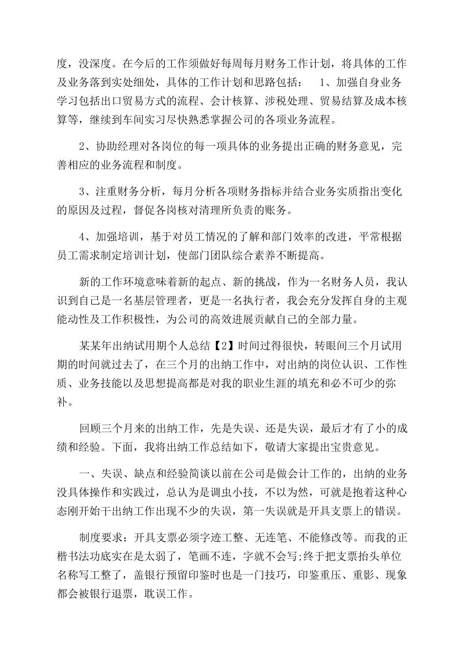年出纳试用期个人工作总结范文_第2页