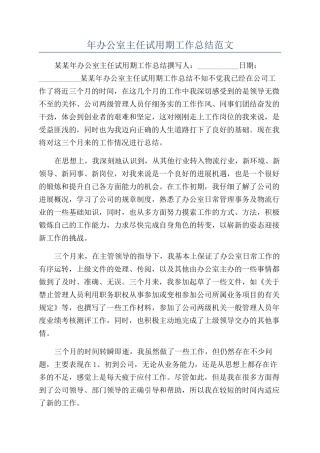 年办公室主任试用期工作总结范文