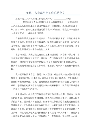 年化工人员试用期工作总结范文