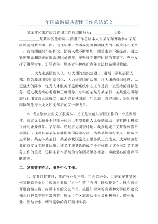 年区旅游局共青团工作总结范文