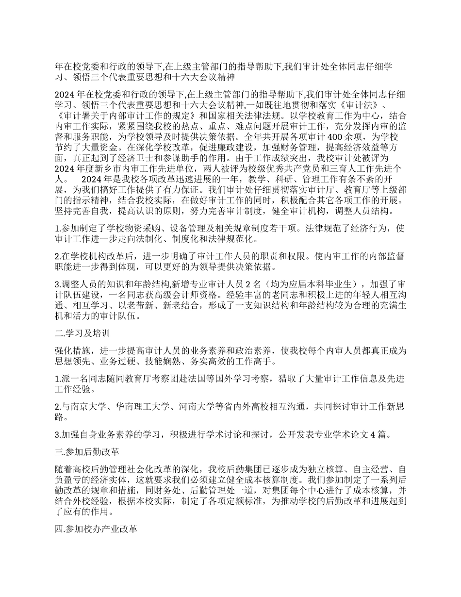 年审计工作总结_第1页