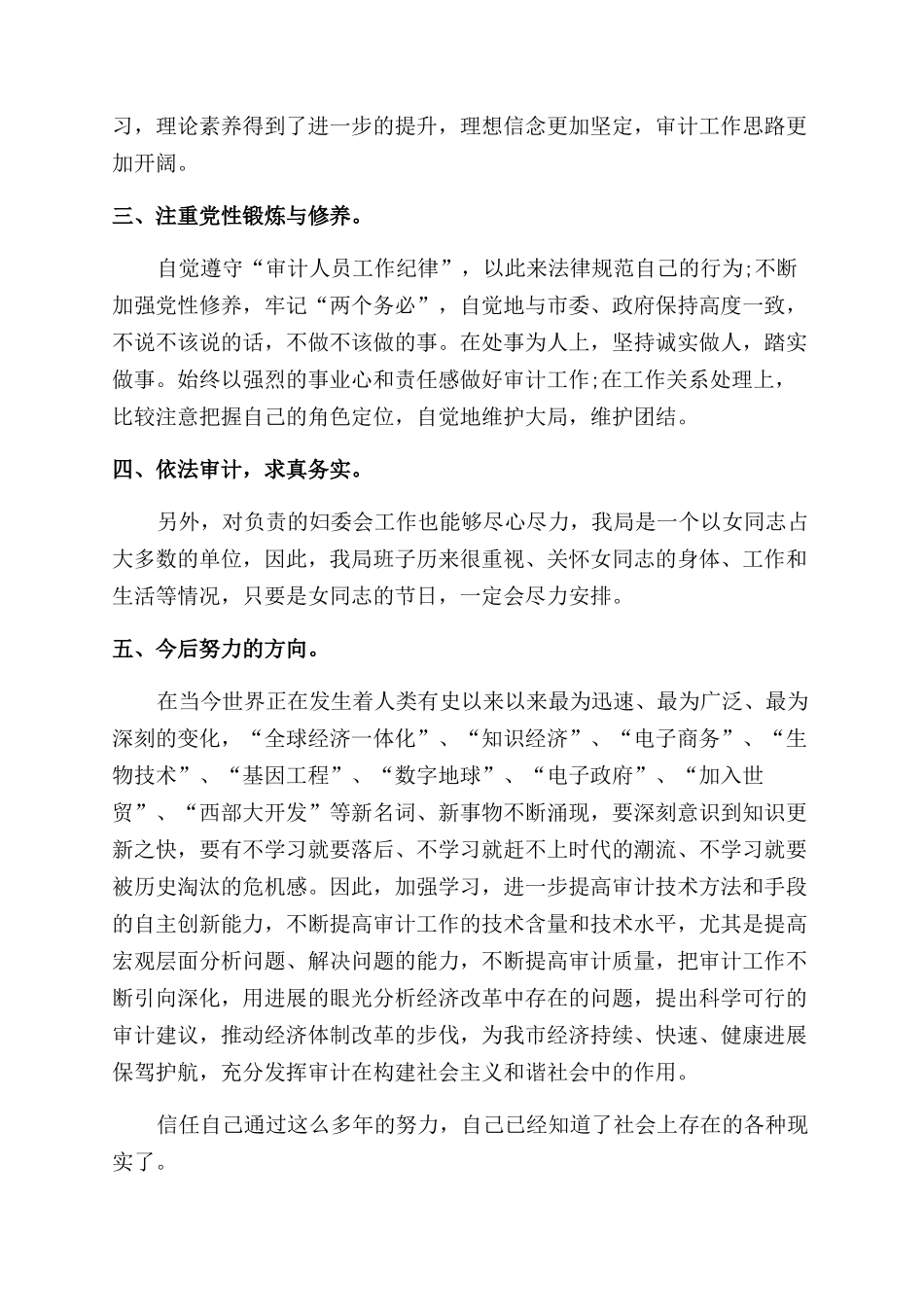 年审计助理年终个人工作总结范文_第2页