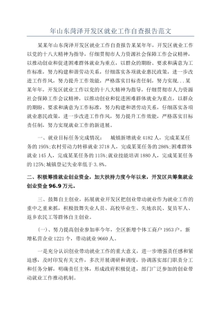 年山东菏泽开发区就业工作自查报告范文