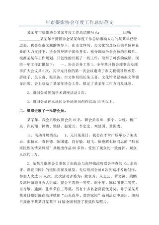 年市摄影协会年度工作总结范文