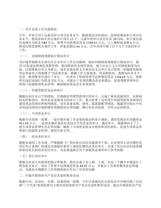 年度县审计局工作总结