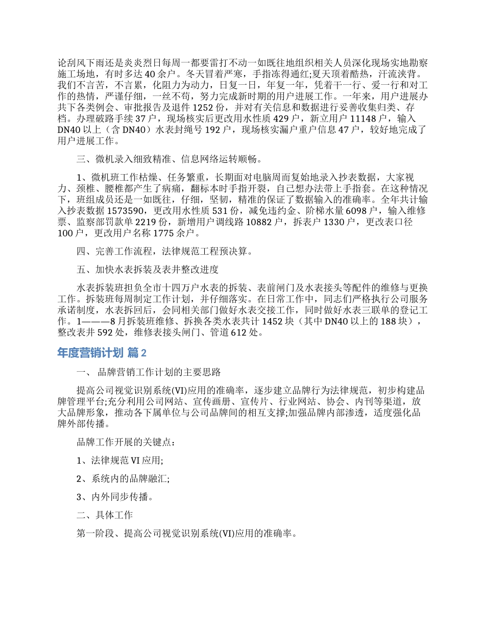 年度营销计划模板六篇_第2页