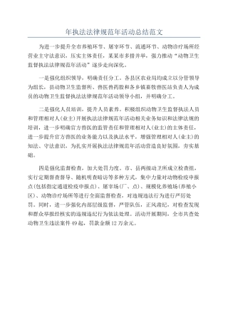 年执法规范年活动总结范文
