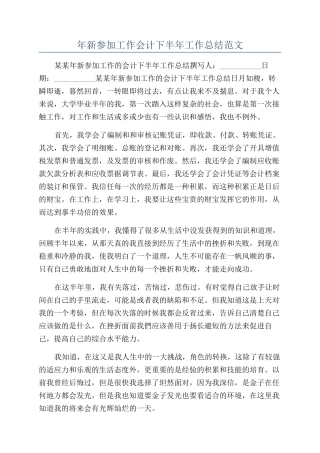 年新参加工作会计下半年工作总结范文