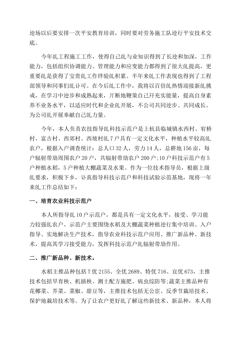 年终总结范文例文技术员年终总结范文_第2页