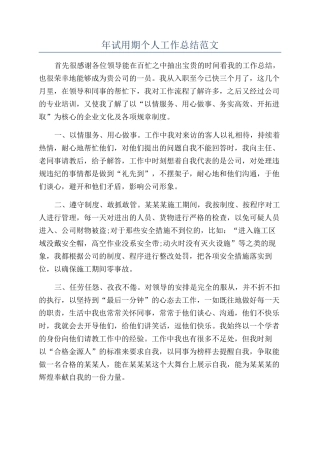 年试用期个人工作总结范文