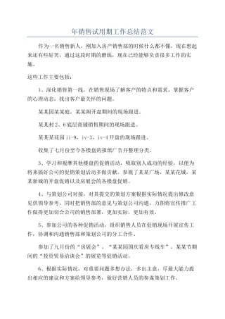 年销售试用期工作总结范文