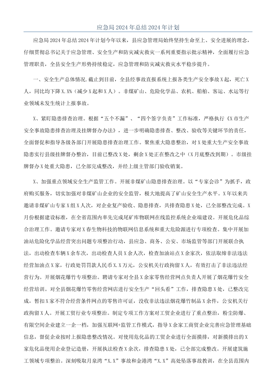 应急局2024年总结2024年计划_第1页