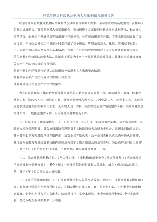 应急管理局行政执法机构人员编制情况调研报告