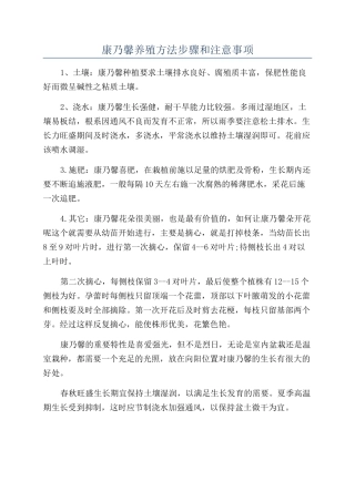 康乃馨养殖方法步骤和注意事项