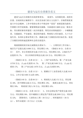 建设与运行自查报告范文
