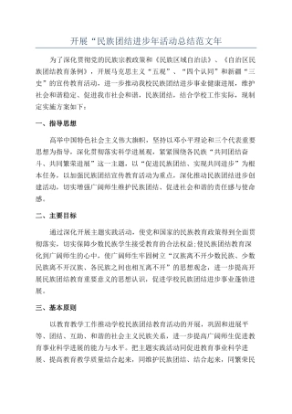 开展“民族团结进步年活动总结范文年