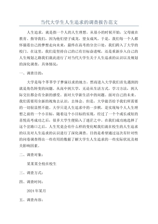 当代大学生人生追求的调查报告范文