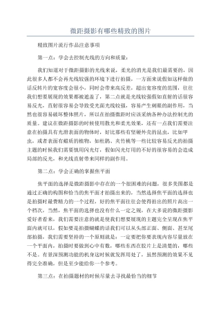 微距摄影有哪些精美的图片
