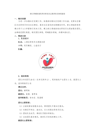 志愿服务领军人物在职党员团队建设