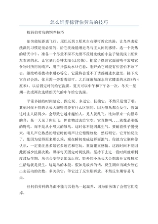 怎么饲养棕背伯劳鸟的技巧