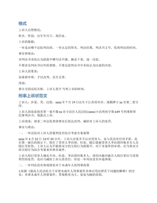 怎样写刑事上诉状