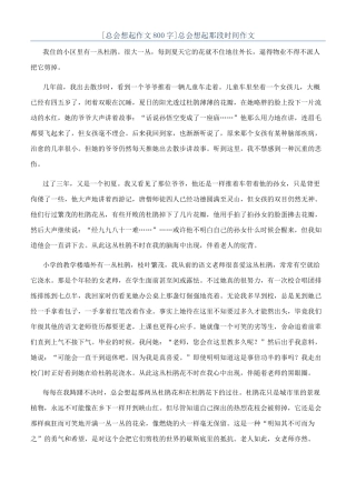 总会想起那段时光作文