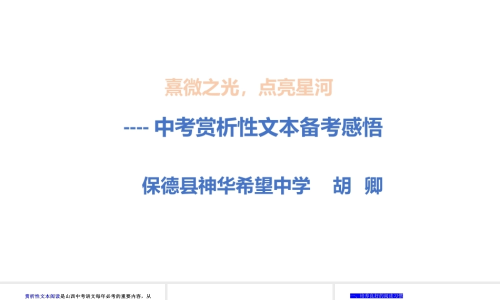 赏析性 文本(2024.4.16)