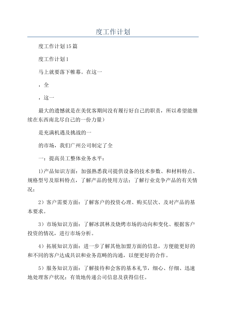 总监年度工作计划_第1页