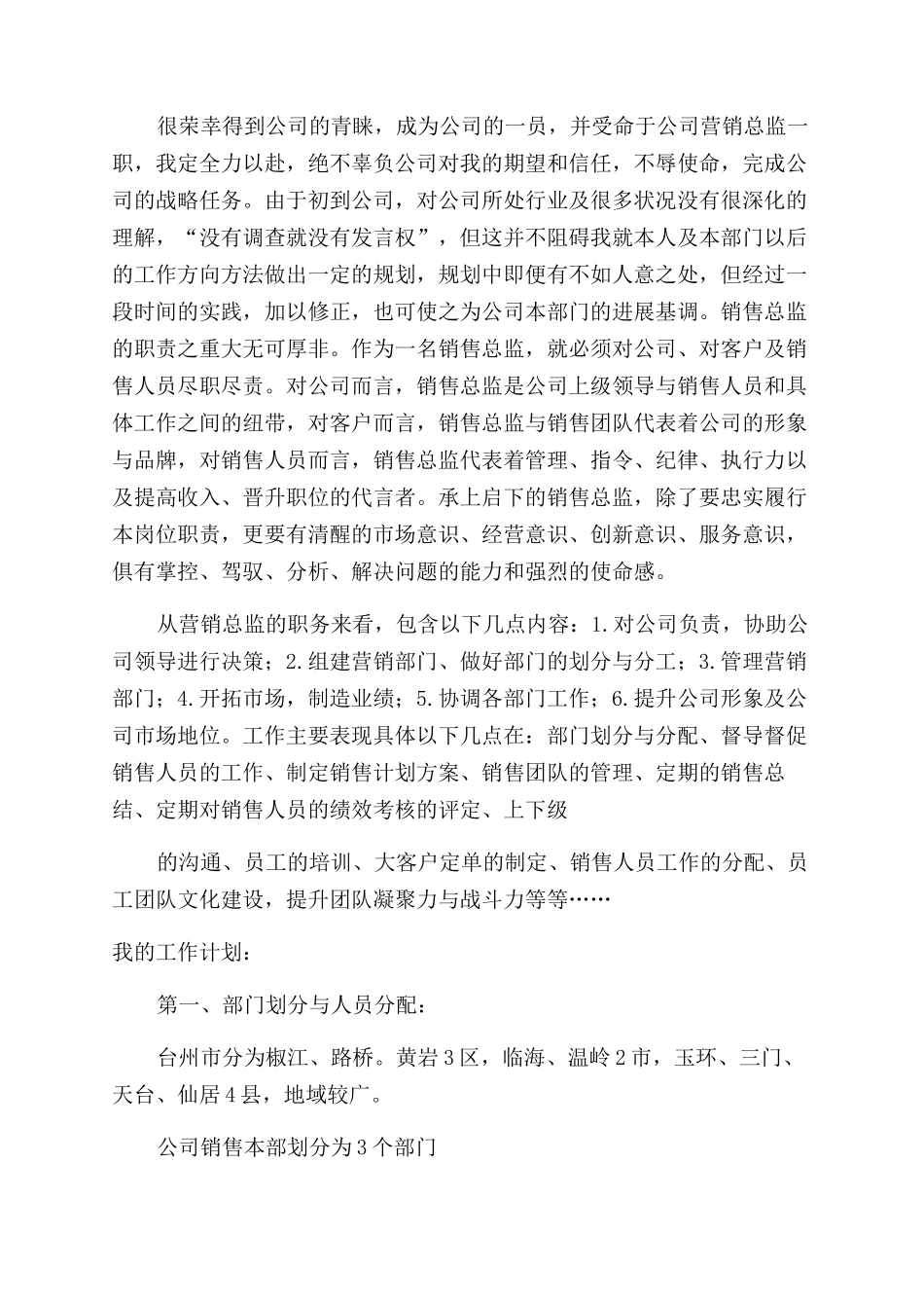 总监年度工作计划_第3页