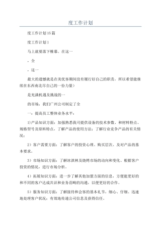 总监年度工作计划