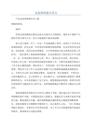 总监辞职报告范文