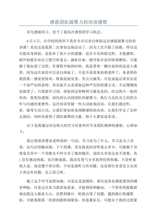 感恩团队凝聚力的培训感想