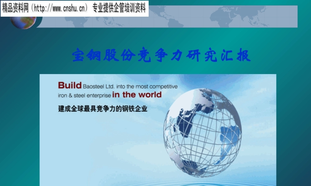 宝钢竞争力研究汇报