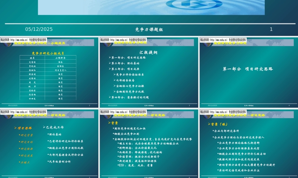 宝钢竞争力研究汇报