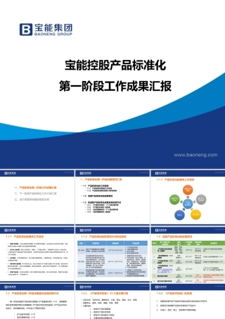 宝能控股产品标准化第一阶段工作成果汇报模板2(成本未填)