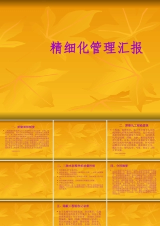 工程部精细化管理汇报