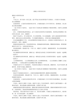 感谢公司领导的话语