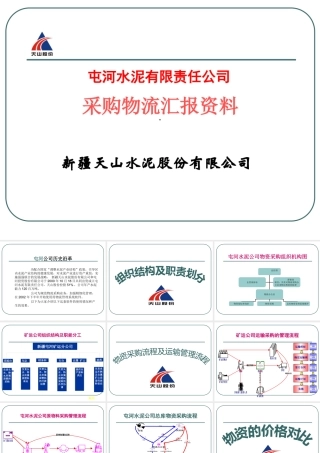 屯河水泥有限责任公司采购物流汇报资料