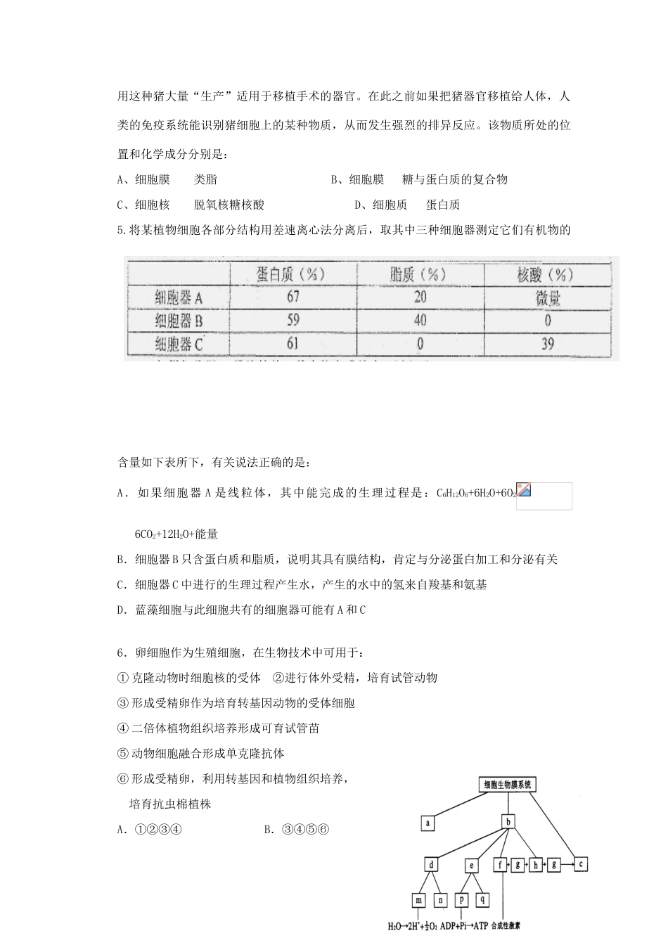 江西省井冈山市2012届高三生物联考新人教版_第2页