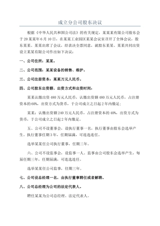 成立分公司股东决议