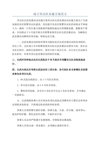 成立突击队实施方案范文