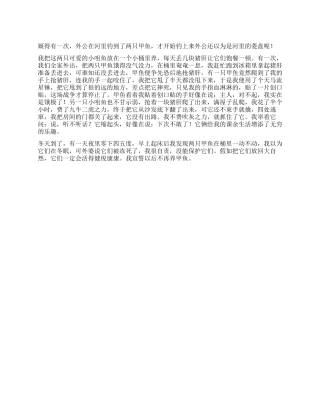 我不再养甲鱼作文500字