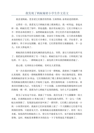 我发现了蚂蚁秘密小学生作文范文