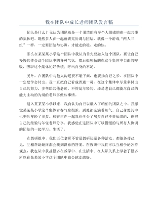 我在团队中成长教师团队发言稿