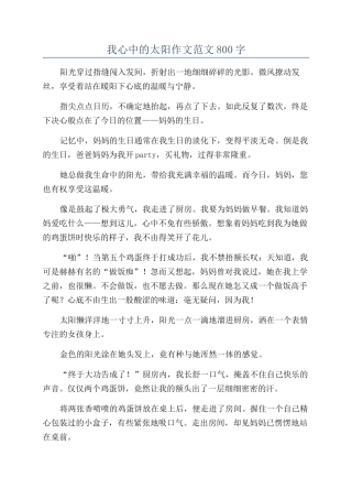 我心中的太阳作文范文800字