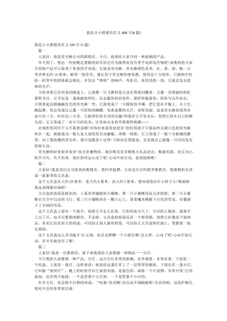 我是小小推销员作文400字
