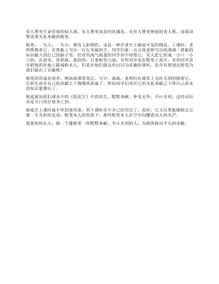 我最心爱的一个物品作文500字