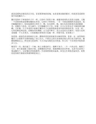 我爱蟹爪兰作文600字