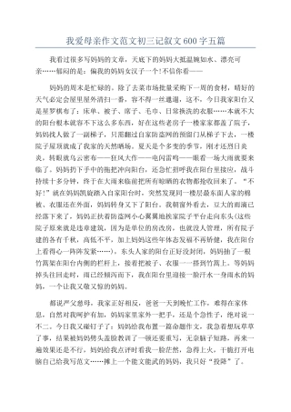 我爱母亲作文范文初三记叙文600字五篇