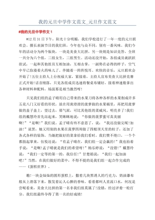 我的元旦中学作文范文-元旦作文范文